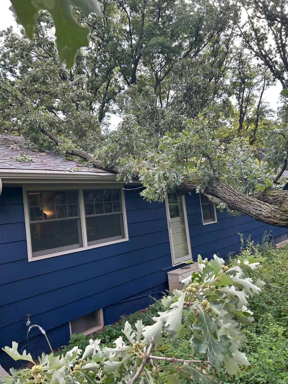 Storm Damage Roof Repair image
