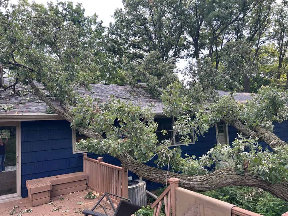 Emergency Roof Repair image
