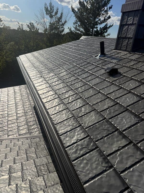 Project Sleek EDCO Steel Roof in Hastings MN image