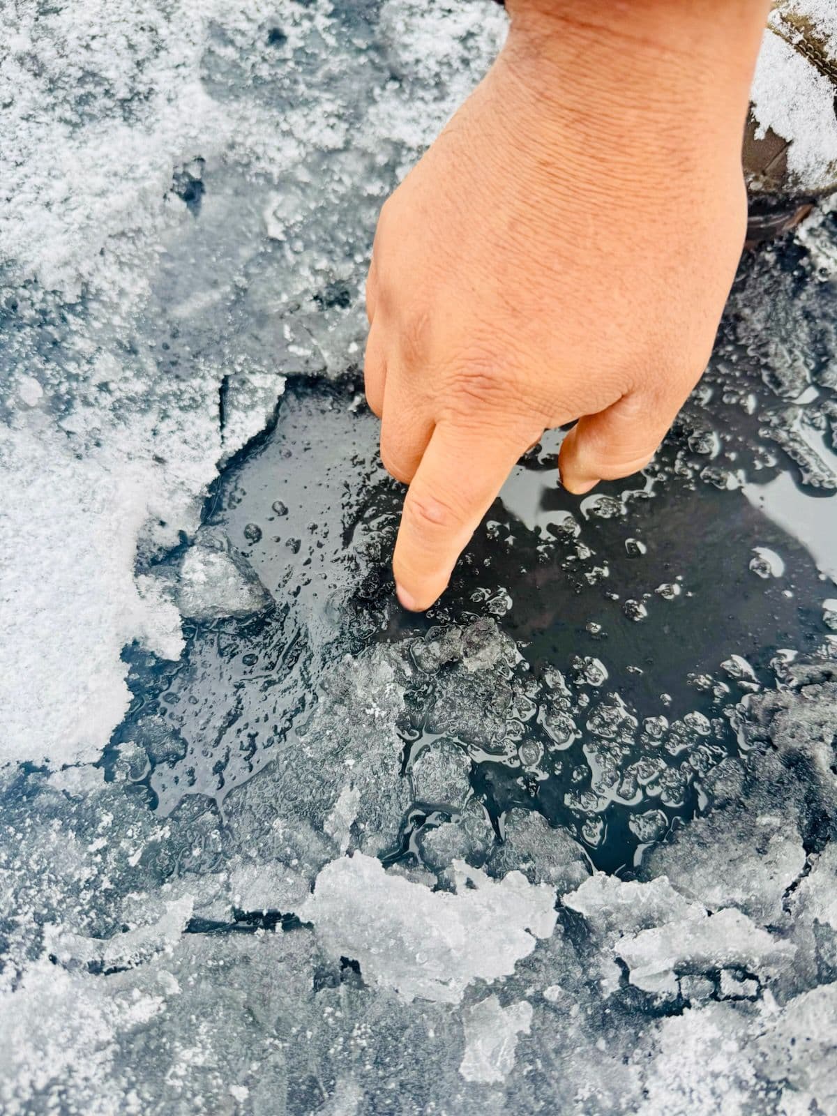 Project Tackling Roof Leaks in Icy Conditions at Cottage Grove's Amphibian School image
