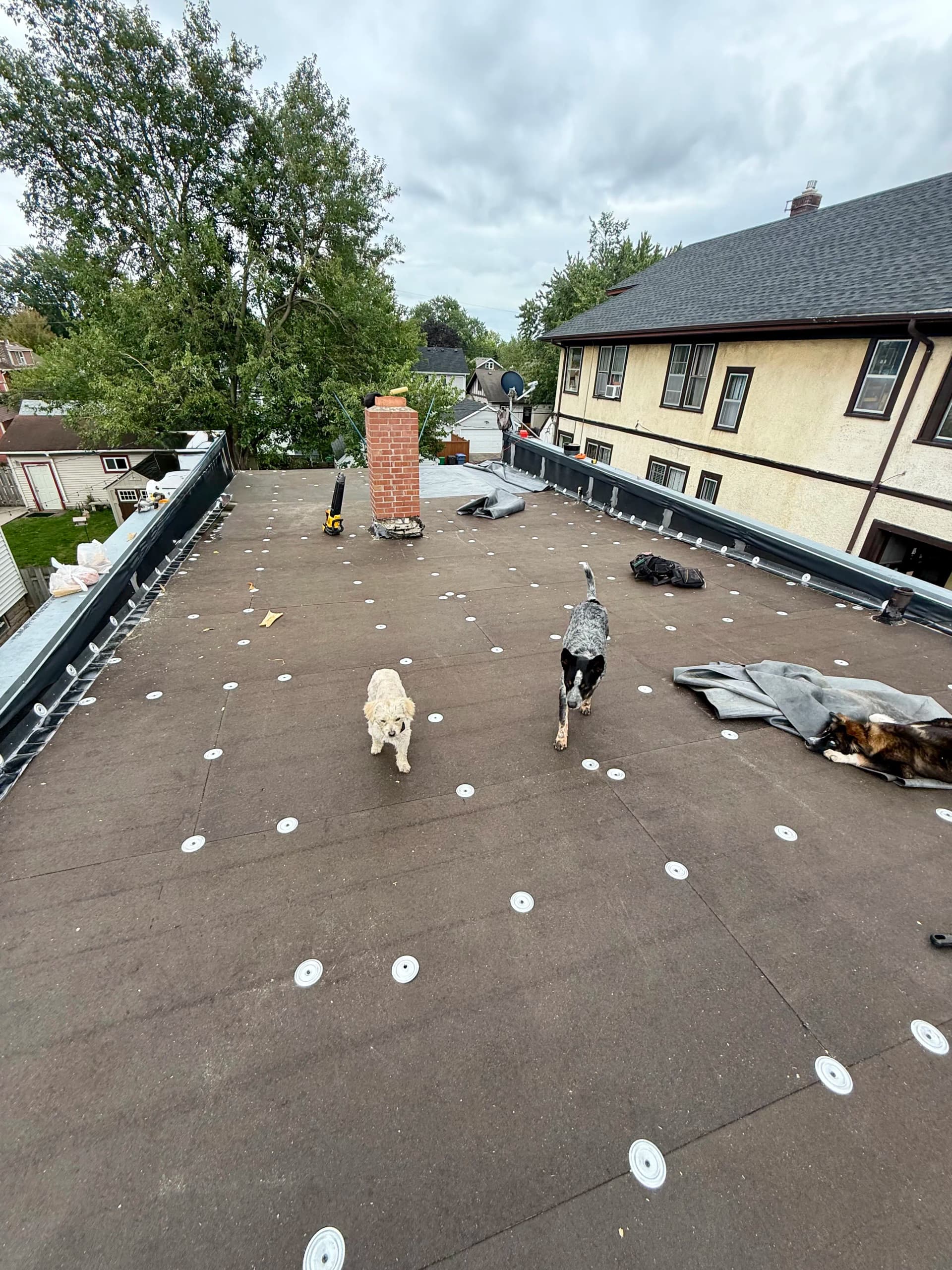 60 MIL EPDM Flat Roof Installation in Chaska image